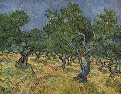 20120525-Olives van_Gogh_079.jpg